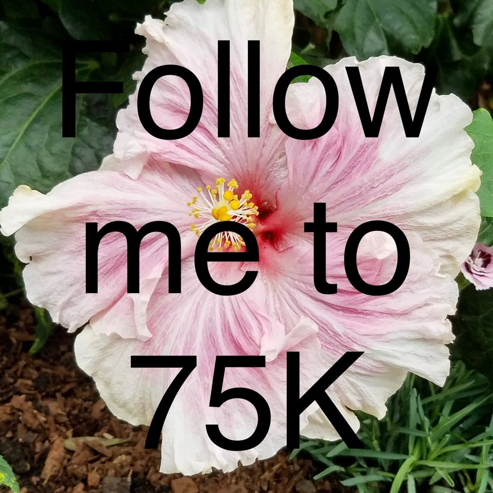 🌀NEXT STOP 400K! 🌀 FOLLOW ME! - Picture 10 of 12
